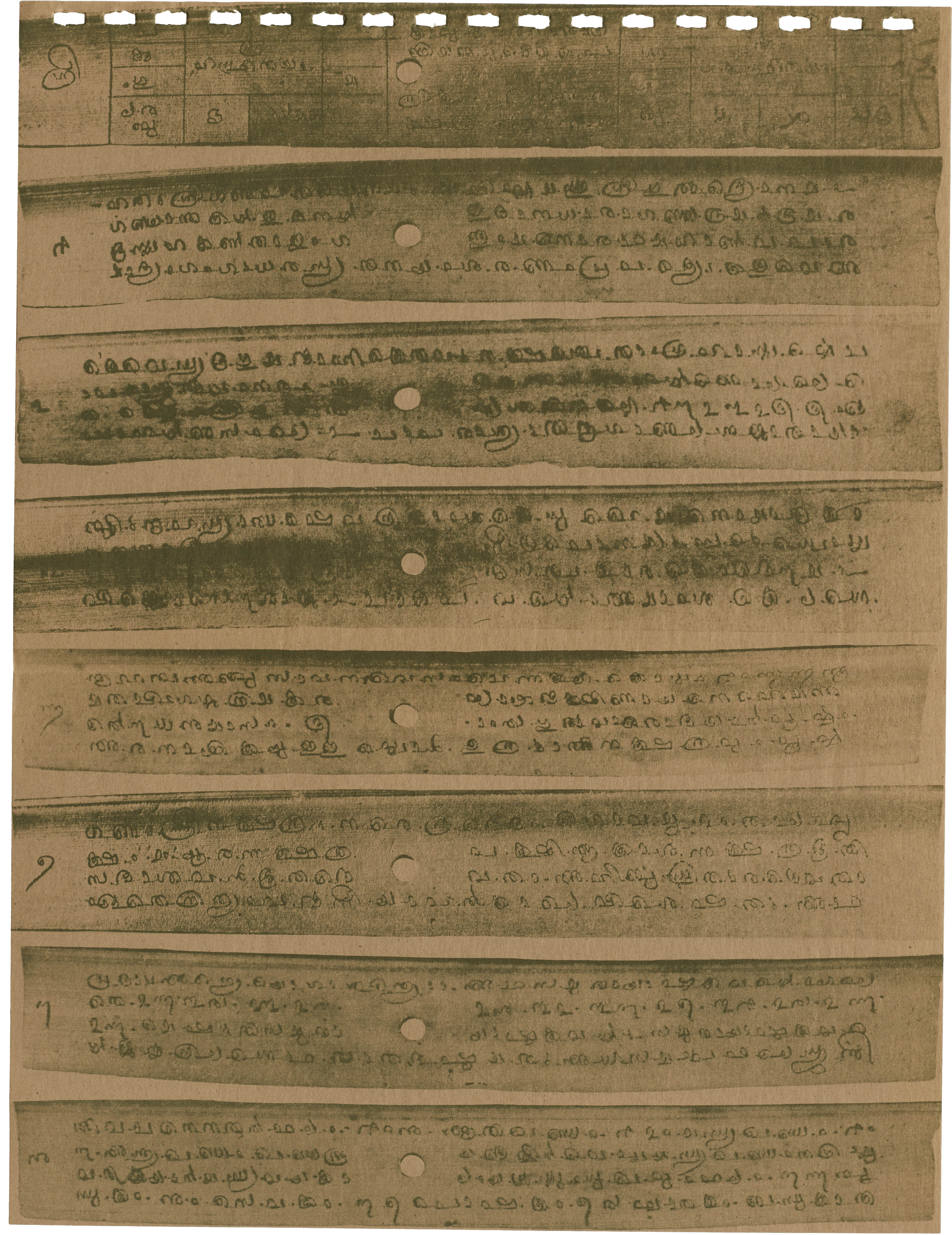 Medieval astrological manuscript in Malayalam, from the south-west coast of India. The rounded characters relate directly to the movement of the vertically held stylus on palm leaf.