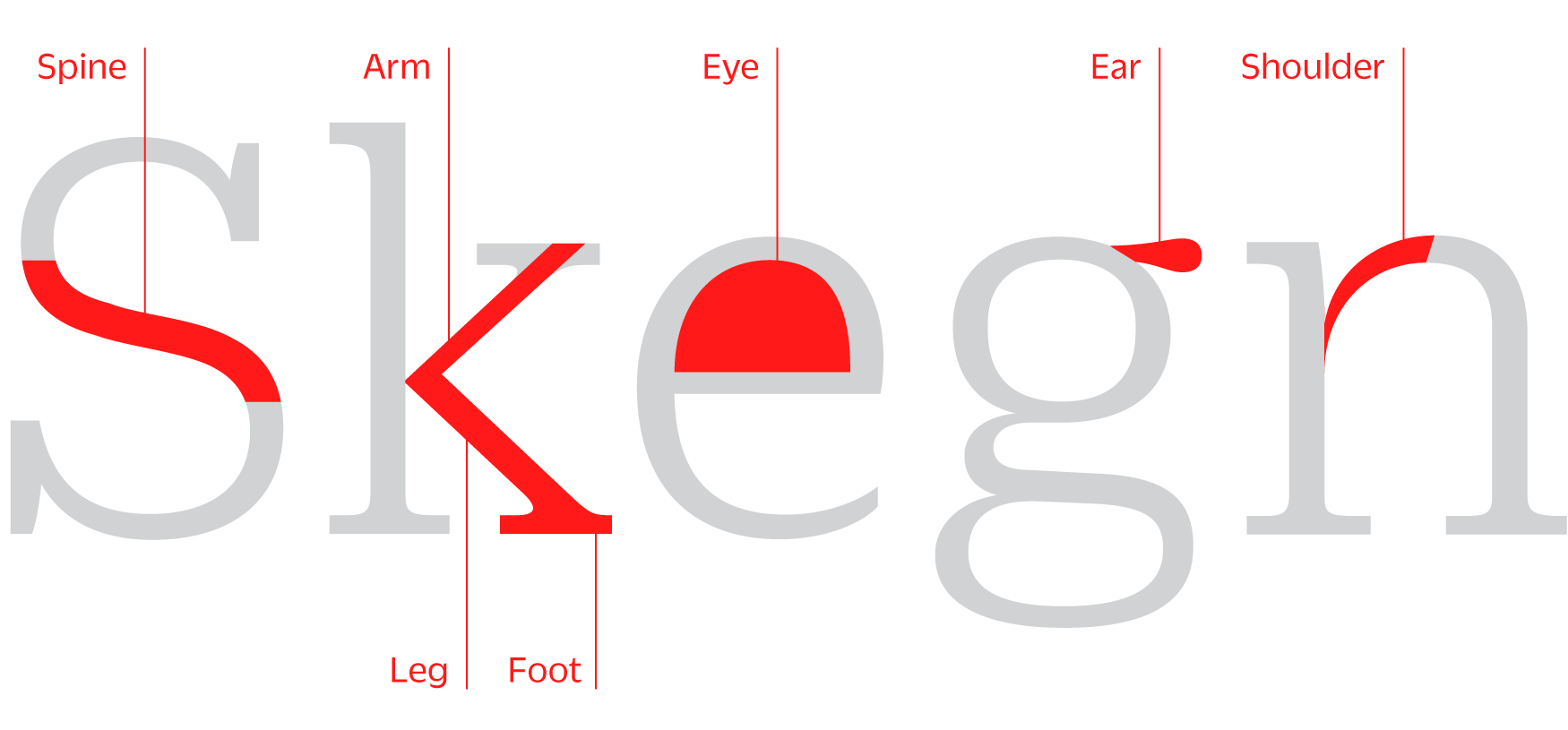 Typeface anatomy diagram with commonly used terms.